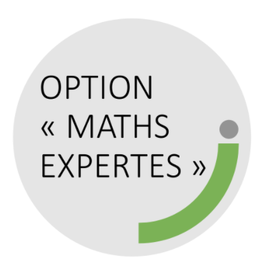 Logo maths expertes.PNG
